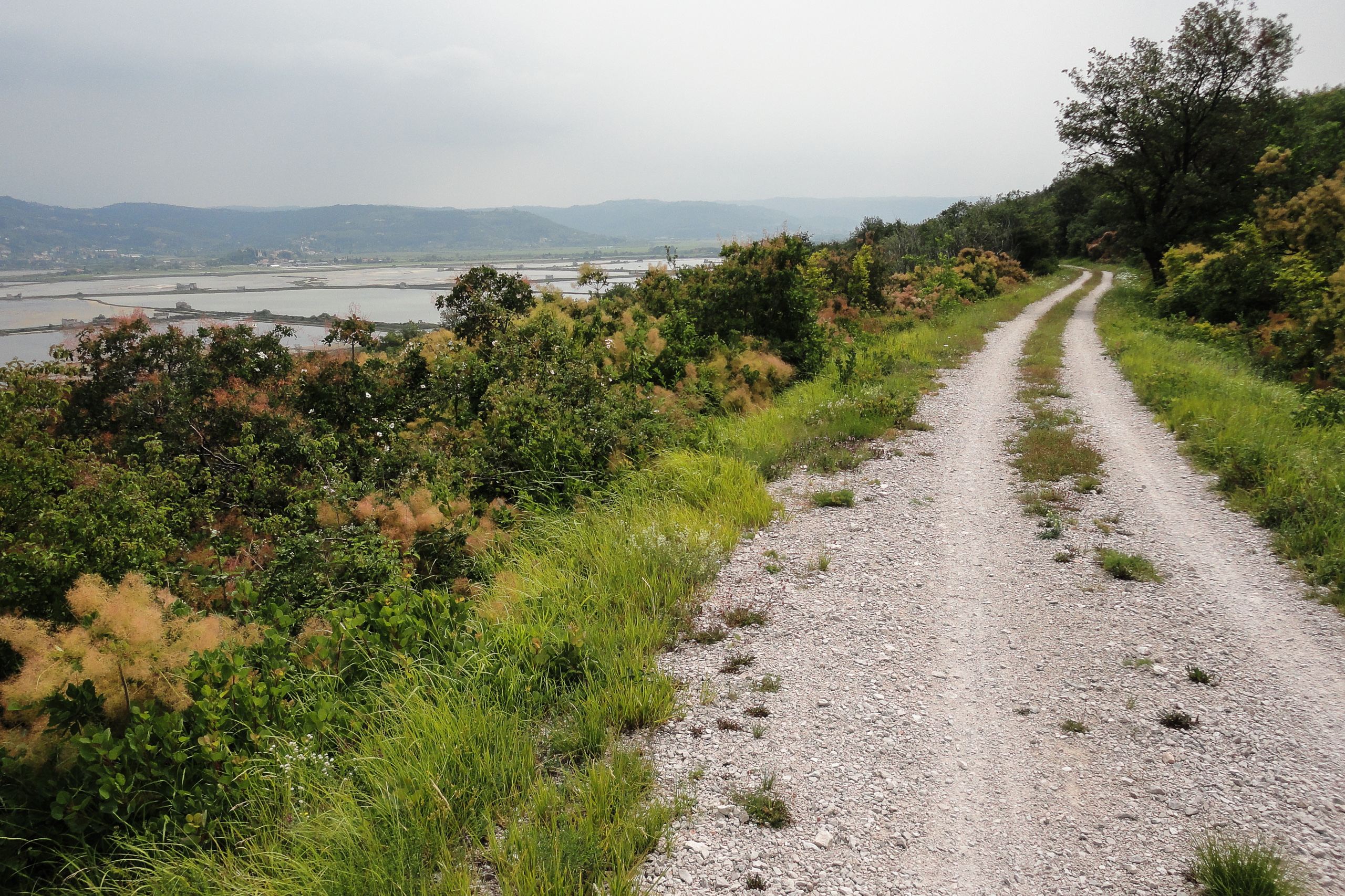 Novigrad – Triest: Parenzana zurück ans Meer